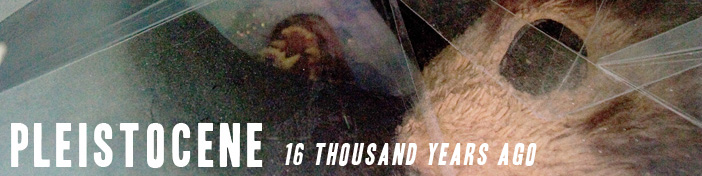 Pleistocene